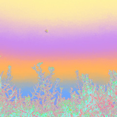 Fraanciss_04