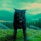 padfoot