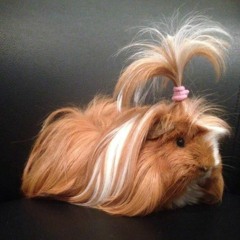 DoerteMusterfrau