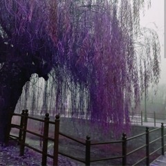 WillowTreez Alt