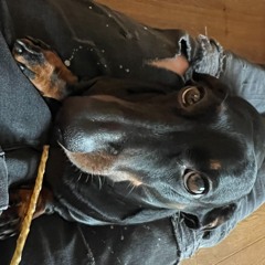 StefChefRocknBudiBaby