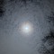 avenutian