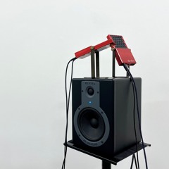 Habitats - V - Bromeliads (live recording Of Generative Installation)