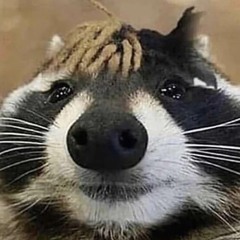 Agu