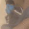 BfdibyBoss