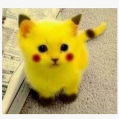 FirestarPikachuKitty120