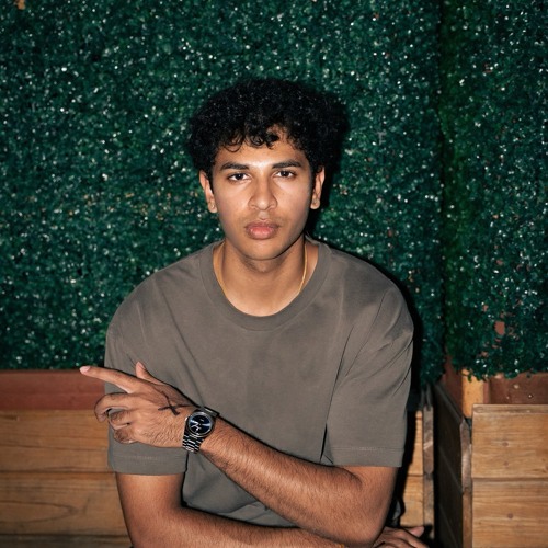 Dom Dolla - Dreamin (Shankz Remix) [FREE DL]