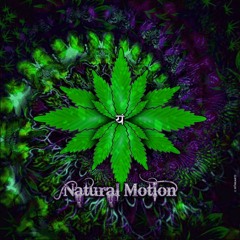 Natural Motion