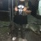 scaaron