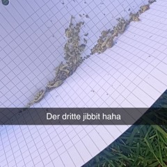 Schokoelf