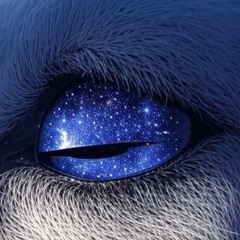 wwwsheep