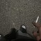 percmode300