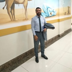 Ahmed Elsemellawy