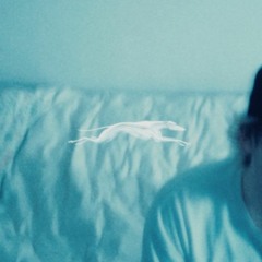 Greyhound