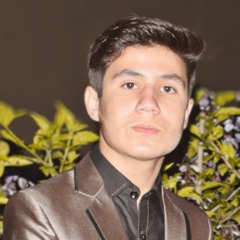 User 12345678