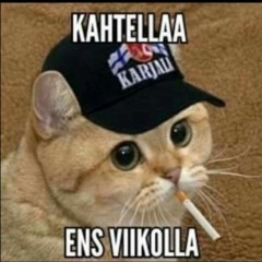 viisas kääpiö