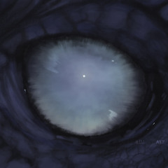 illuminaary