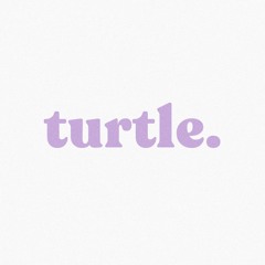 Turtle Corporation