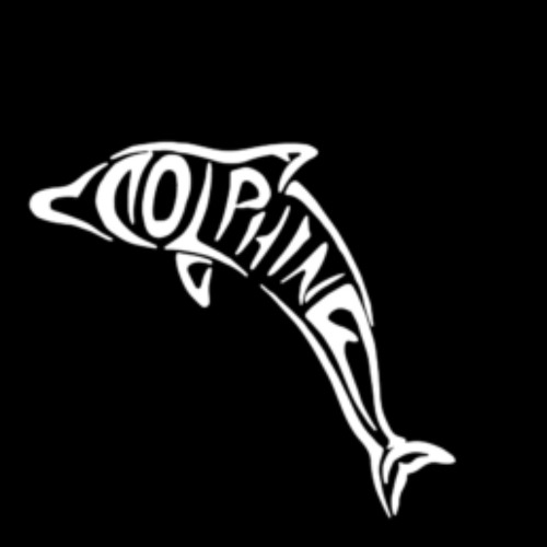 A Dolphin’s avatar