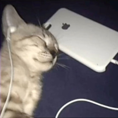 dol