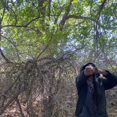 BIG ZEE BABI 🙃🙏