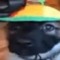 Siku