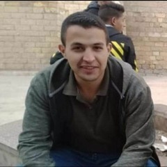 Mohamed Sayed Omar