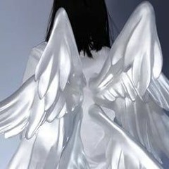 Distortion
