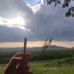 mtzz_DNB
