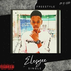 Elesgee
