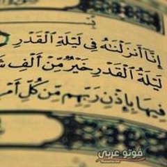 Salman Al - Mohammadi