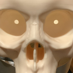 ARTMUSIC  ⚓️  D.R