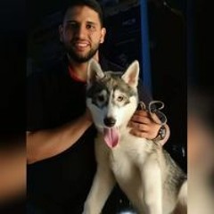 نايف الفيصل