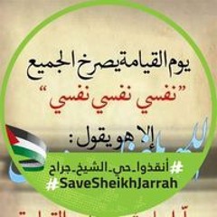 محمد محمود