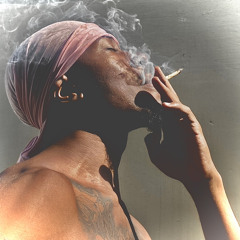 fredozin