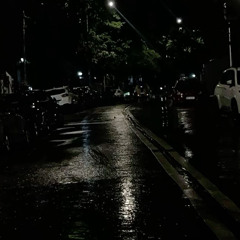 V01D
