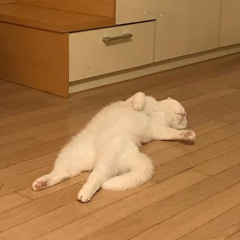 𝐻𝑜𝑛𝑒𝑦𝑠𝑢𝑐𝑘𝑙𝑒