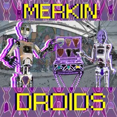 mERKIN DROIDz