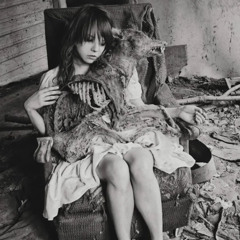 dogtoy0