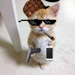 tinycat