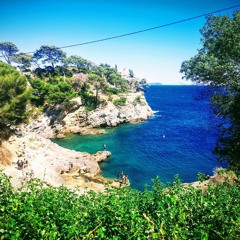 Marine Cma