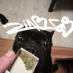 Саркофаг - Текста В Кусках