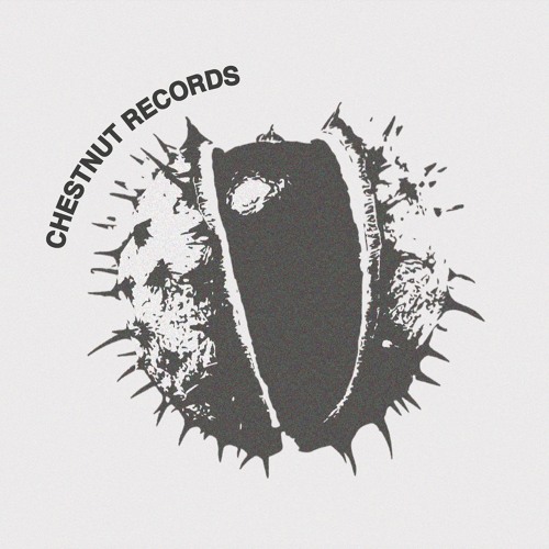 Chestnut Records’s avatar