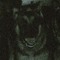 _lupos