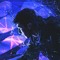 Cosmic Dust