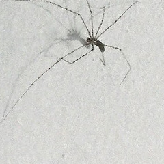 nw