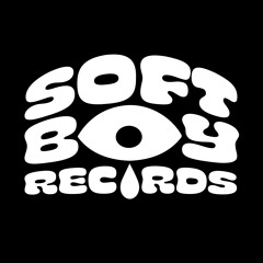 Soft Boy Records