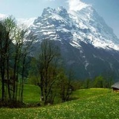 أبوهشام الحنيني