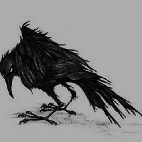 Raven Rave’s avatar