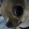 :333